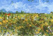 Vincent Van Gogh Green Vineyard oil painting picture wholesale
